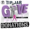 MSW SUPPORT DONATION OR TIP - The Mysexywaist.com Store